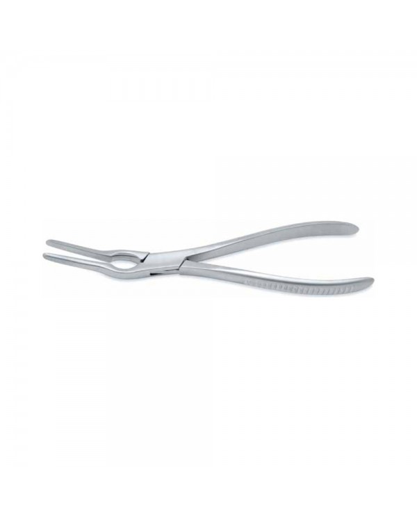 Asch Septum Straightening Forceps