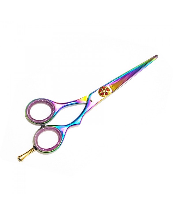 Professional Hair Cutting Scissors