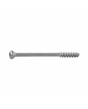 Cancellous Screw