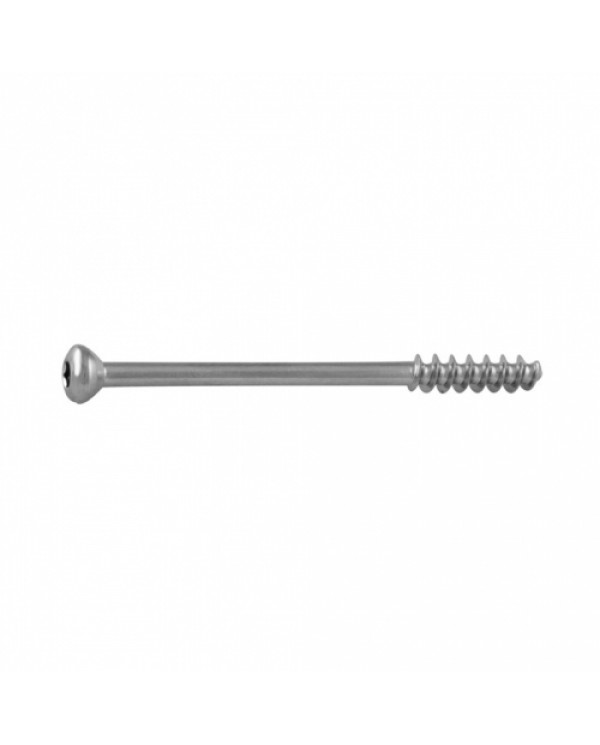 Cancellous Screw