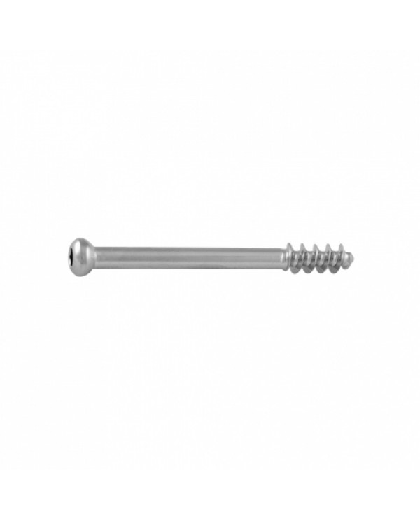 Cancellous Screw