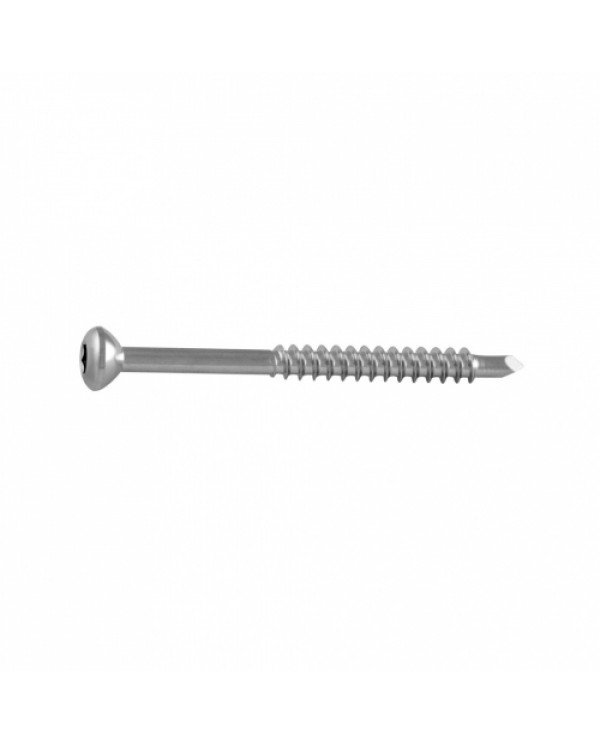 Malleolar Screw