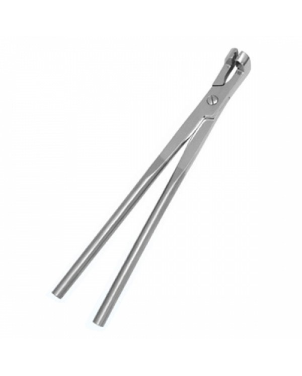 Reinhard Tooth Forceps (SS)